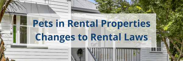 Pets in Rental Properties - Changes to Rental Laws